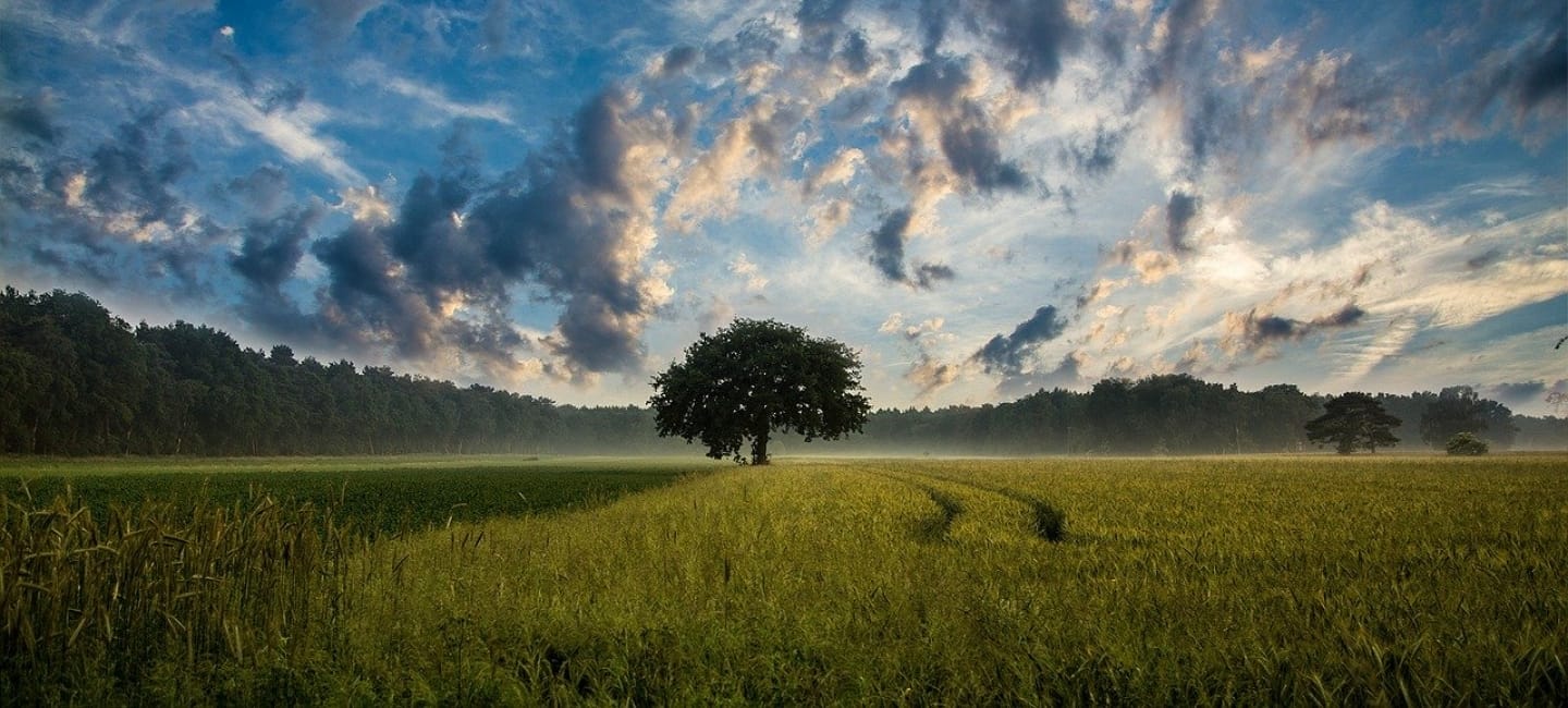 Andreas Mons